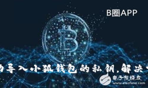 如何成功导入小狐钱包的私钥，解决常见问题