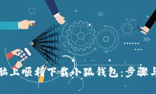 如何在电脑上顺利下载小狐钱包：步骤与注意事项