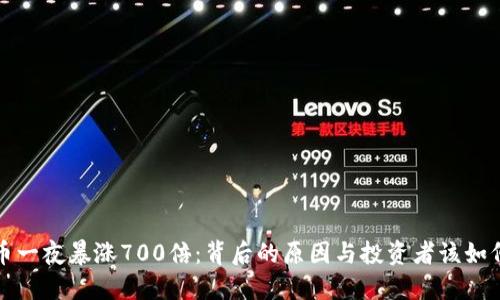 狗狗币一夜暴涨700倍：背后的原因与投资者该如何应对