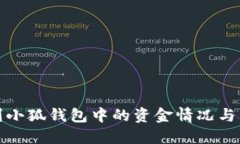 如何识别小狐钱包中的资金情况与管理技巧