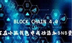 如何在小狐钱包中成功添加BNB资产？