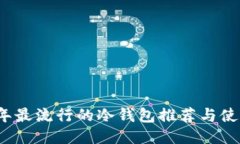2023年最流行的冷钱包推荐与使用指南