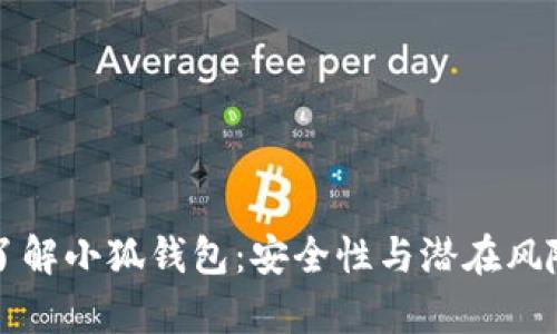 深入了解小狐钱包：安全性与潜在风险分析