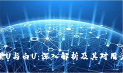 冷钱包中的黑U与白U：深入解析及其对用户技术的