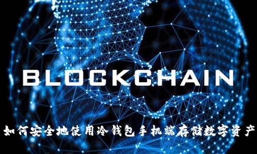 如何安全地使用冷钱包手机端存储数字资产