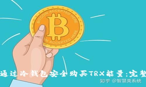 如何通过冷钱包安全购买TRX能量：完整指南