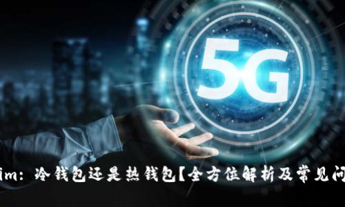 Token.im: 冷钱包还是热钱包？全方位解析及常见问题解答