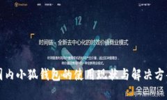 国内小狐钱包的使用现状与解决方案