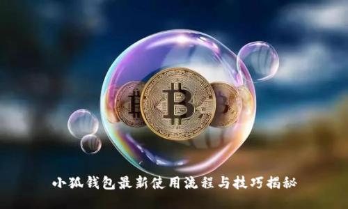 小狐钱包最新使用流程与技巧揭秘